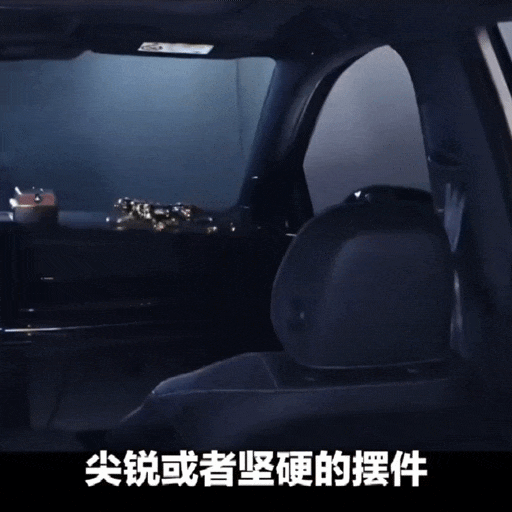 车内“萌物”变“凶器”？这个小习惯，正在给你的行车安全埋雷！