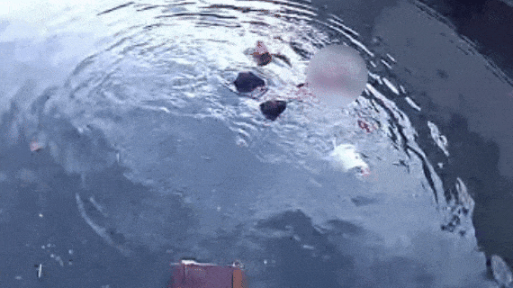 寒冬刺骨，一女子落水！浙江95后交警秒脱外衣，跳入冰河：&nbsp;“我年轻，让我来！”