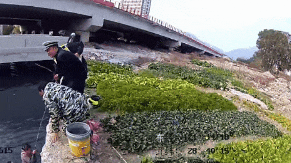 寒冬刺骨，一女子落水！浙江95后交警秒脱外衣，跳入冰河：&nbsp;“我年轻，让我来！”