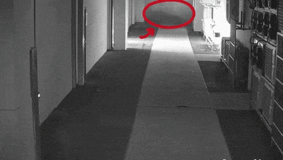 因上厕所没纸,浙江一男子在厂房愤怒纵火!事后假装“热心市民”报警救火 因上厕所没纸,浙江一男子在厂房愤怒纵火!事后假装“热心市民”报警救火