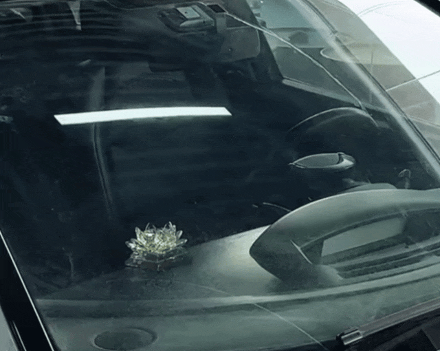 交警提醒：很多人中招，赶快自查清理