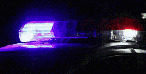 “这钱真是给我弟弟订婚用的彩礼！”