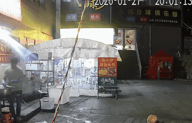 楼上花盆意外坠落，楼下男子因投喂流浪猫躲过一劫！男子：安排大鱼！