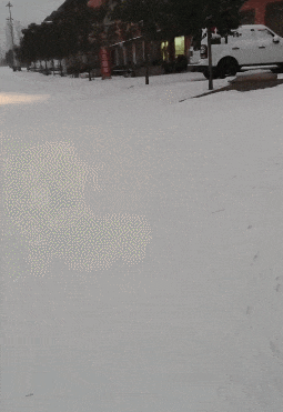 全网刷屏的山东“小飞哥”,又回河南了! 全网刷屏的山东“小飞哥”,又回河南了!