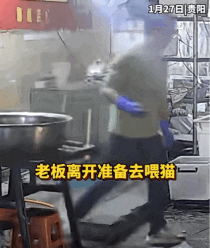 男子被一只流浪猫救了！完美躲过高空坠落花盆