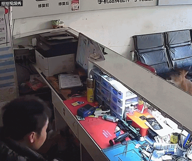 手机店遭“不明来客”闯入，老板吓得跳上柜台：以为是发疯的恶犬