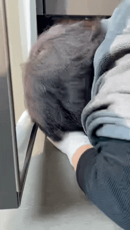 根本约不上!上海网友直呼:战况激烈!春节前预约保洁太难了! 根本约不上!上海网友直呼:战况激烈!春节前预约保洁太难了!