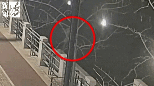 来沪男子受情感所困，深夜跳河轻生！夜钓市民"立功"了！