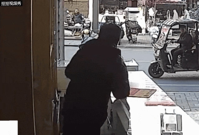 手机店遭“不明来客”闯入，老板吓得跳上柜台：以为是发疯的恶犬