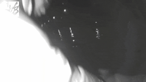 来沪男子受情感所困，深夜跳河轻生！夜钓市民"立功"了！