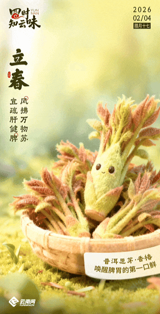 今日立春，宜食“春”！