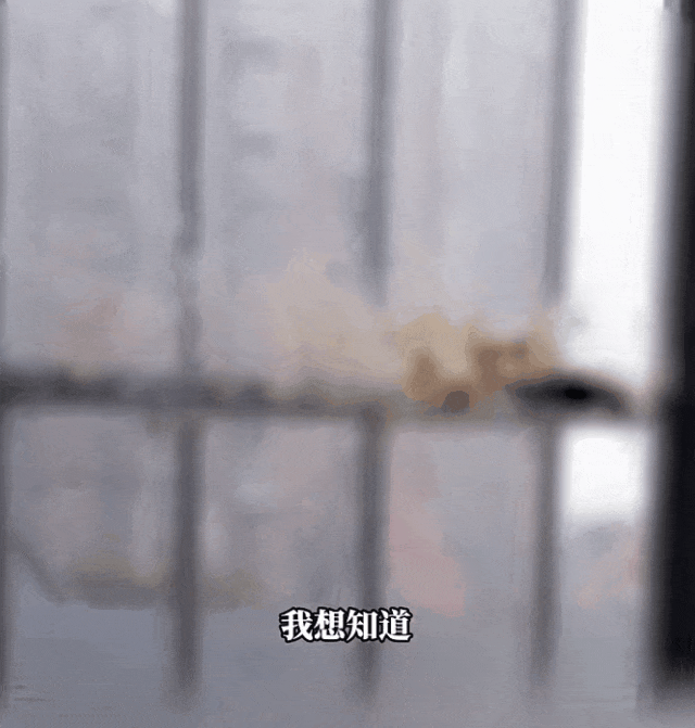 高层抛下排泄物，6楼窗台遭殃，业主恶心到报警