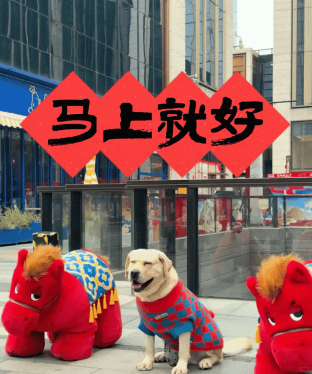 上海虹桥机场现“显眼包”，全网征名！网友：春晚的节目提前看到了....