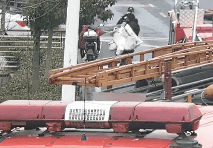 海宁一派出所里出现一束鲜花，收件人不详……