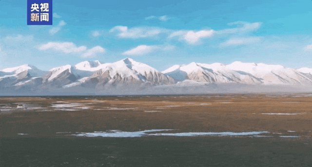 这就是《生命树》的现实版“续集” 这就是《生命树》的现实版“续集”