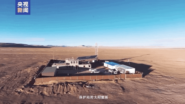 这就是《生命树》的现实版“续集” 这就是《生命树》的现实版“续集”