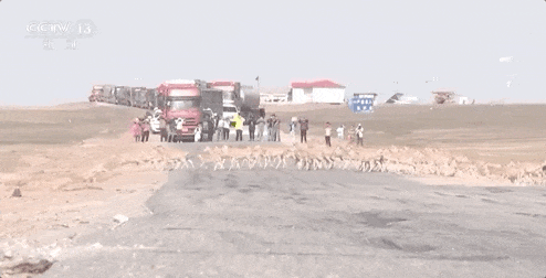 这就是《生命树》的现实版“续集” 这就是《生命树》的现实版“续集”