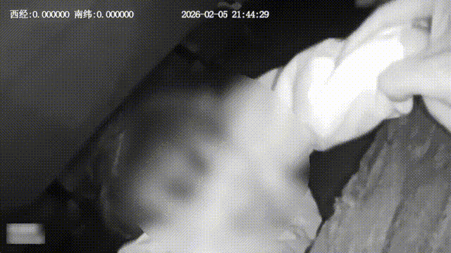 惊险！女童掉站台缝隙，乘警30秒救起！