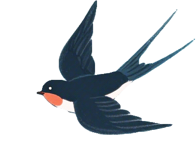 直冲24℃！南京天气又要大反转