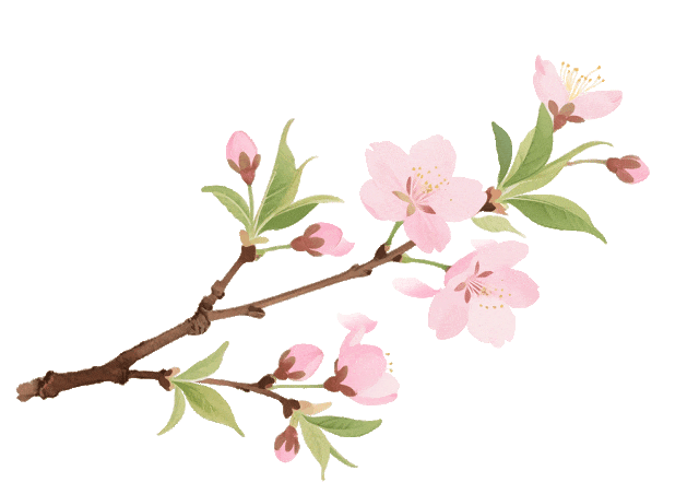 冲上23℃，明日气温近期最高！申城瀑布梅花已上线，春意“加载”100%