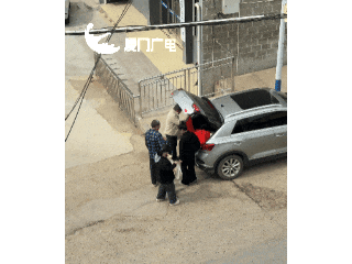 “妈，真的装不下了！”后备箱被爸妈塞了 “半个菜市场”，全国同款返程太真实了……