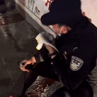 火场逆行！鞍山民警两次冲入火海救人