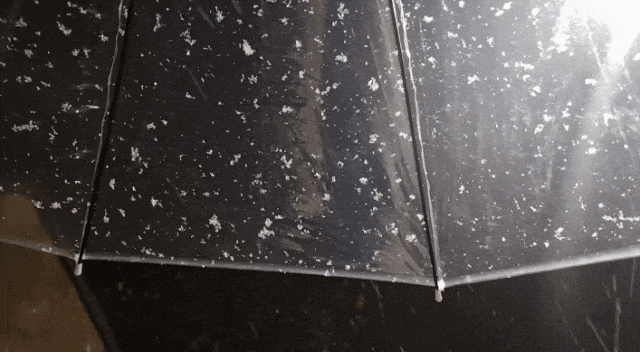 大风频繁！明天河南再迎降水