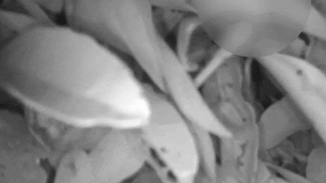 凌晨4点,民警终于找到走失的他 凌晨4点,民警终于找到走失的他