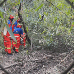 为救邻家小狗女子不慎“中招”，此前自家宠物已屡遭毒手！警惕这个“隐形杀手”