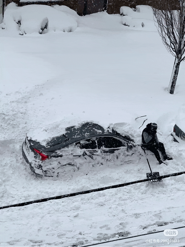 美国东北部遭遇“炸弹气旋”!网友:这里是“北美宁古塔”? 美国东北部遭遇“炸弹气旋”!网友:这里是“北美宁古塔”?