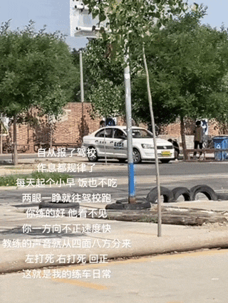 “教练,为什么12306里预约不了科目三考试?”“那是买火车票的……” “教练,为什么12306里预约不了科目三考试?”“那是买火车票的……”