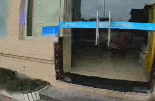 这操作太帅了,近4000万网友围观!00后小伙骑车出门,路边一幕让他果断掉头 这操作太帅了,近4000万网友围观!00后小伙骑车出门,路边一幕让他果断掉头