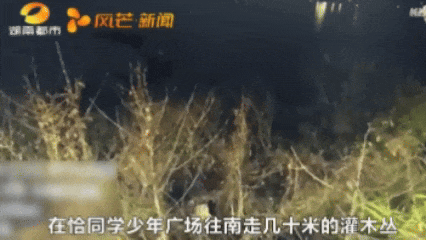 凌晨2点，女子坠入湘江！民警跃入刺骨江水成功施救