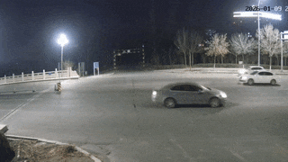 撞桥墩后躲进树林!司机侥幸逃逸换来拘留15天+2000元罚款+保险拒赔! 撞桥墩后躲进树林!司机侥幸逃逸换来拘留15天+2000元罚款+保险拒赔!