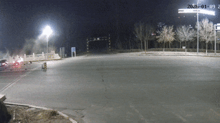 撞桥墩后躲进树林!司机侥幸逃逸换来拘留15天+2000元罚款+保险拒赔! 撞桥墩后躲进树林!司机侥幸逃逸换来拘留15天+2000元罚款+保险拒赔!