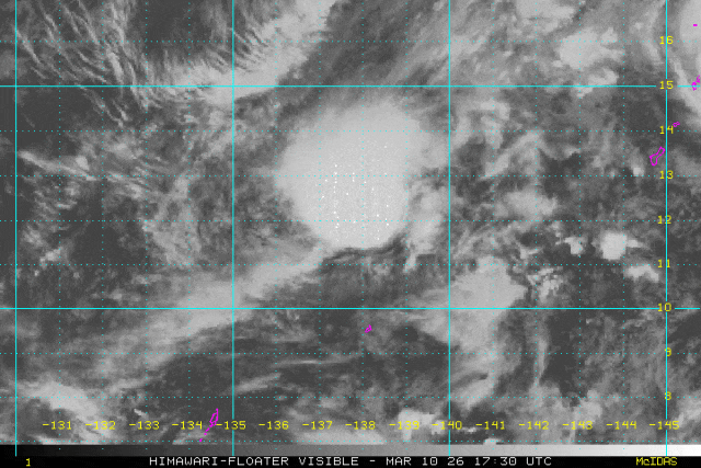 新台风“鹦鹉”生成！福州近期昼夜温差近12℃