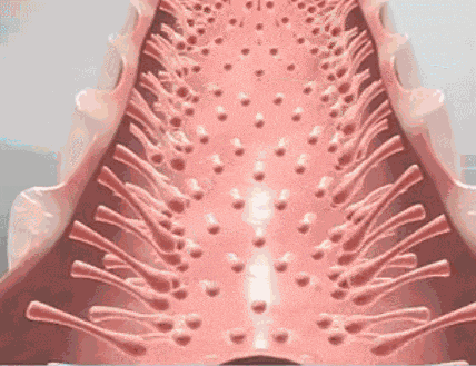 几根鼻毛也会要人命？男子整张脸充血肿胀！这样做真的很危险