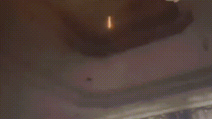 “我有鼻炎闻不到焦味!”卧室突然起火,狗狗狂叫!男子这才发现... “我有鼻炎闻不到焦味!”卧室突然起火,狗狗狂叫!男子这才发现...