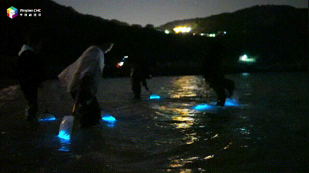 冲上热搜！平潭“蓝眼泪”进入高频出现模式，比往年提早一个月