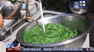 时令春菜上桌 一席春色暖人间 时令春菜上桌 一席春色暖人间