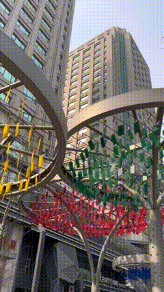 雨雪来袭！辽宁明天断崖式降温，沈阳启动城市除雪五级（小雪）白色预警