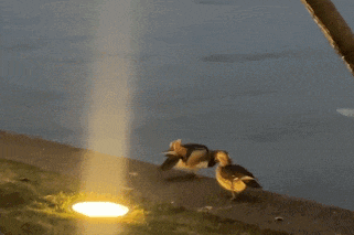 西湖边一对鸳鸯“小夫妻”当众 “冷战”，保安大叔6分钟劝“复合”