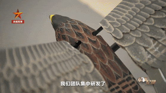 看，那是中国“鹰”！