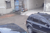 “老熟人”？上次偷“发小”，这次偷“朋友”！