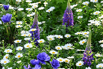 今日春分，讲个冷知识！
