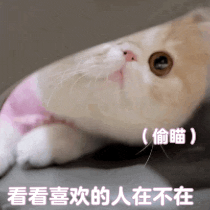 今夜有雨!随后还有六七级阵风,北京3区发布大风蓝色预警—— 今夜有雨!随后还有六七级阵风,北京3区发布大风蓝色预警——