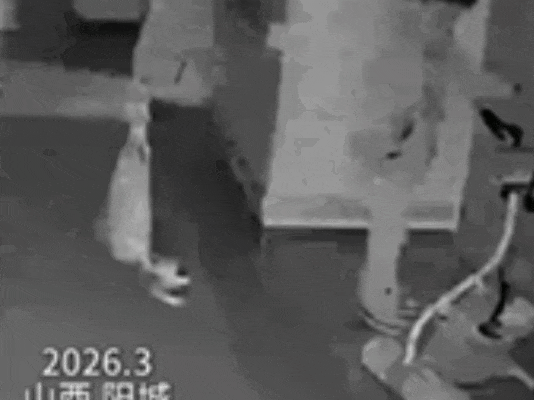 潜入医院安装“神秘黑盒”，4人落网！