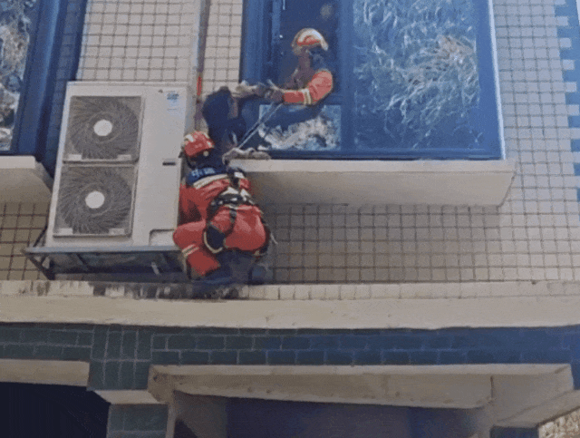 妈妈一觉醒来孩子失踪,找到时众人揪心不已!背后真相让人心疼...... 妈妈一觉醒来孩子失踪,找到时众人揪心不已!背后真相让人心疼......