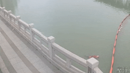 他纵身一跃，勇救落水老人