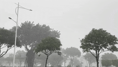 广州市区多地出现冰雹！清明天气提前看.......